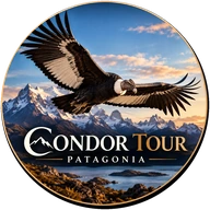 Condor Tour Patagonia logo