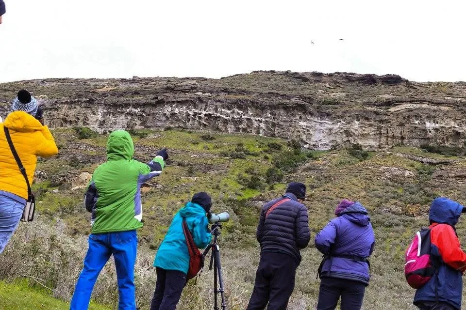 Condor Watching lower viewpoint