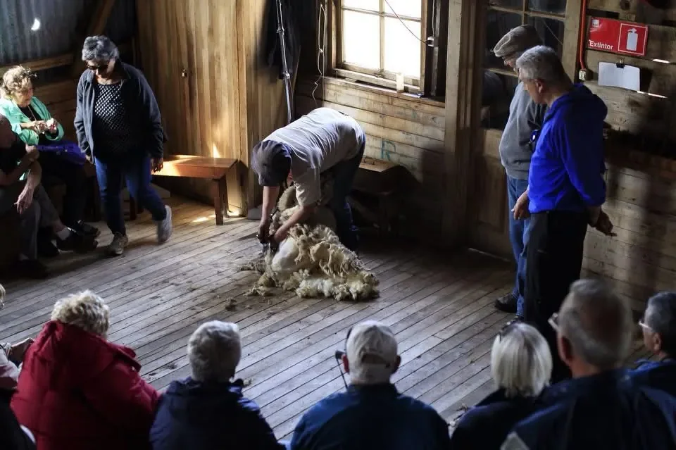 Patagonian ranch experience